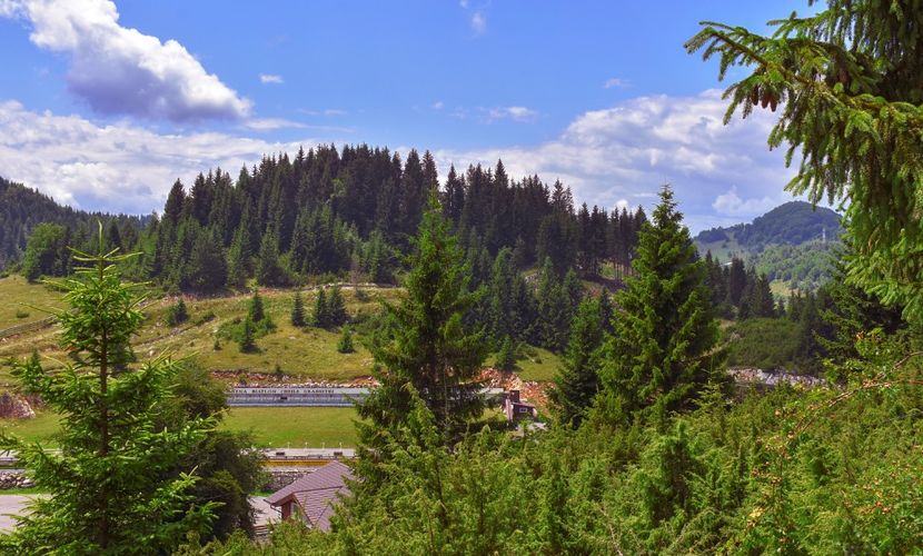 Cheile Grădiștei - 12 - Preduleț-Bran-Piatra Craiului-Prăpăstiile Zărneștiului-aug 2019