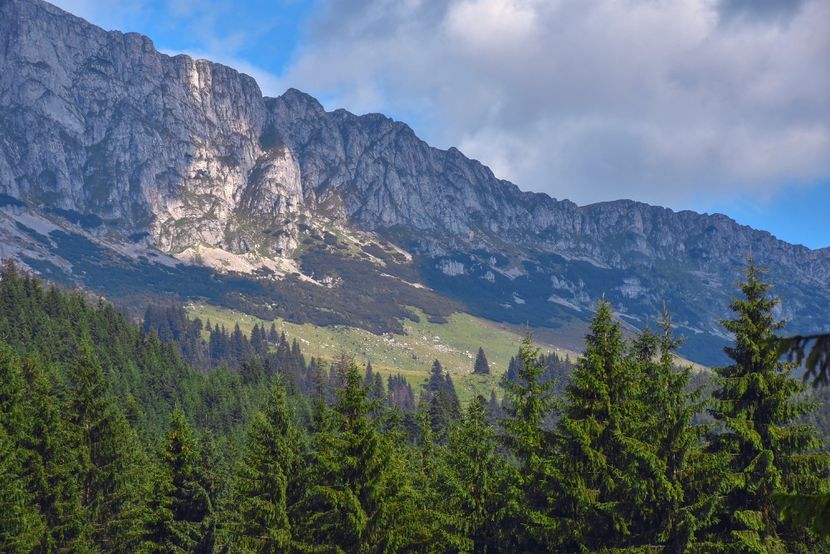  - 12 - Preduleț-Bran-Piatra Craiului-Prăpăstiile Zărneștiului-aug 2019