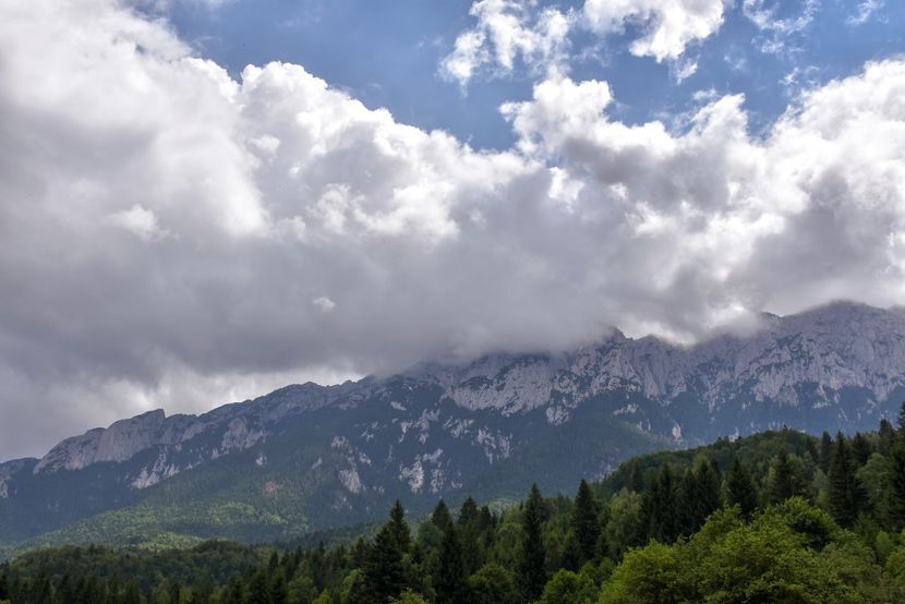 M-ții Piatra Craiului - 12 - Preduleț-Bran-Piatra Craiului-Prăpăstiile Zărneștiului-aug 2019