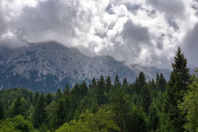 M-ții Piatra Craiului - 12 - Preduleț-Bran-Piatra Craiului-Prăpăstiile Zărneștiului-aug 2019