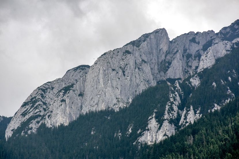 M-ții Piatra Craiului - 12 - Preduleț-Bran-Piatra Craiului-Prăpăstiile Zărneștiului-aug 2019