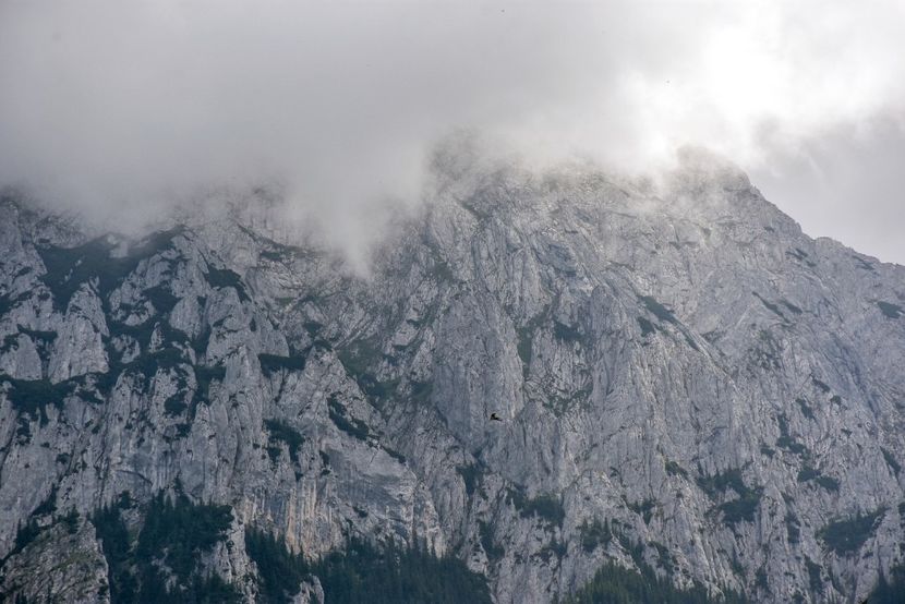  - 12 - Preduleț-Bran-Piatra Craiului-Prăpăstiile Zărneștiului-aug 2019