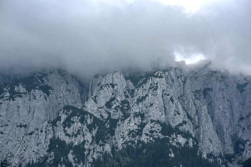  - 12 - Preduleț-Bran-Piatra Craiului-Prăpăstiile Zărneștiului-aug 2019