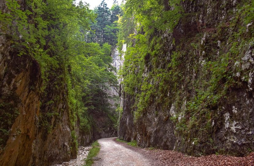 Prăpăstiile Zărneștiului - 12 - Preduleț-Bran-Piatra Craiului-Prăpăstiile Zărneștiului-aug 2019
