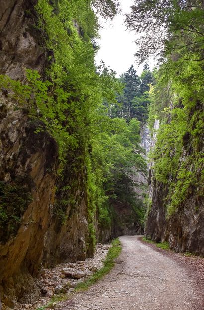  - 12 - Preduleț-Bran-Piatra Craiului-Prăpăstiile Zărneștiului-aug 2019