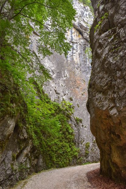  - 12 - Preduleț-Bran-Piatra Craiului-Prăpăstiile Zărneștiului-aug 2019