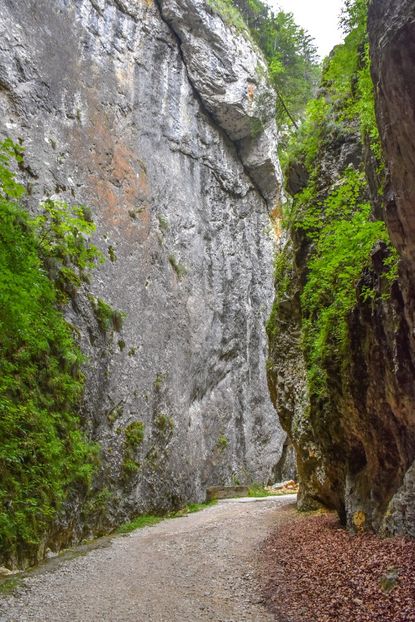  - 12 - Preduleț-Bran-Piatra Craiului-Prăpăstiile Zărneștiului-aug 2019