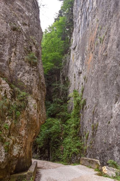  - 12 - Preduleț-Bran-Piatra Craiului-Prăpăstiile Zărneștiului-aug 2019