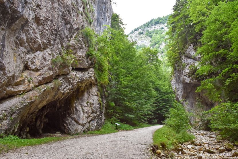 Prăpăstiile Zărneștiului - 12 - Preduleț-Bran-Piatra Craiului-Prăpăstiile Zărneștiului-aug 2019