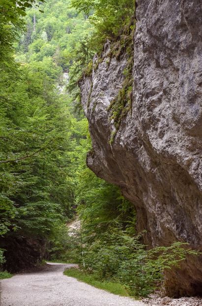  - 12 - Preduleț-Bran-Piatra Craiului-Prăpăstiile Zărneștiului-aug 2019