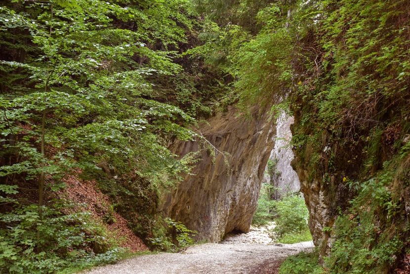 Prăpăstiile Zărneștiului - 12 - Preduleț-Bran-Piatra Craiului-Prăpăstiile Zărneștiului-aug 2019