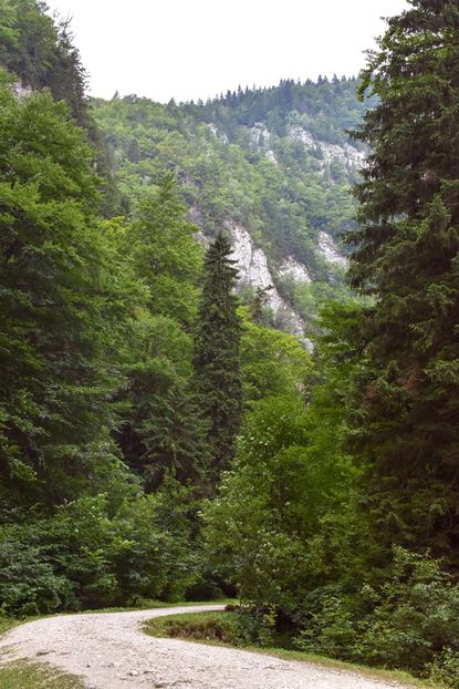  - 12 - Preduleț-Bran-Piatra Craiului-Prăpăstiile Zărneștiului-aug 2019