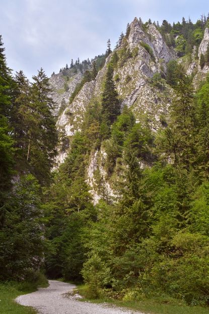  - 12 - Preduleț-Bran-Piatra Craiului-Prăpăstiile Zărneștiului-aug 2019