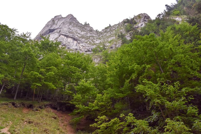  - 12 - Preduleț-Bran-Piatra Craiului-Prăpăstiile Zărneștiului-aug 2019