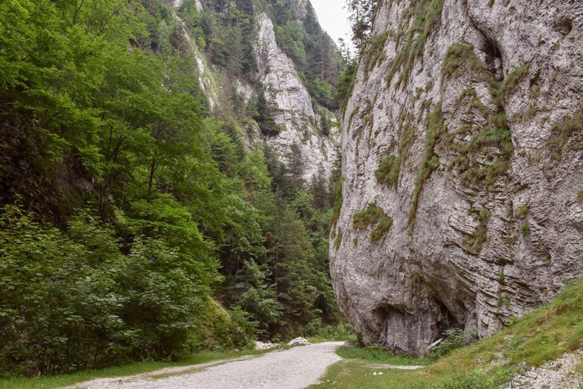 Prăpăstiile Zărneștiului - 12 - Preduleț-Bran-Piatra Craiului-Prăpăstiile Zărneștiului-aug 2019