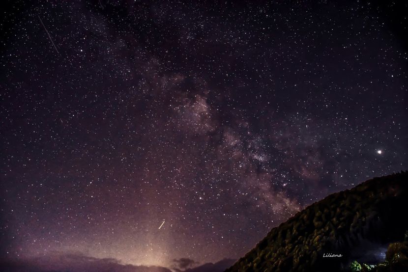 - 12 - Preduleț-Bran-Piatra Craiului-Prăpăstiile Zărneștiului-aug 2019