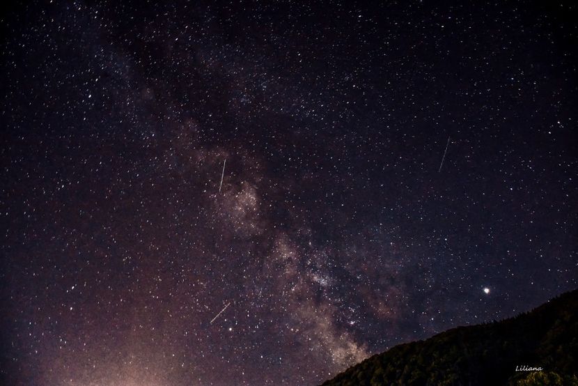 Perseide - 12 - Preduleț-Bran-Piatra Craiului-Prăpăstiile Zărneștiului-aug 2019