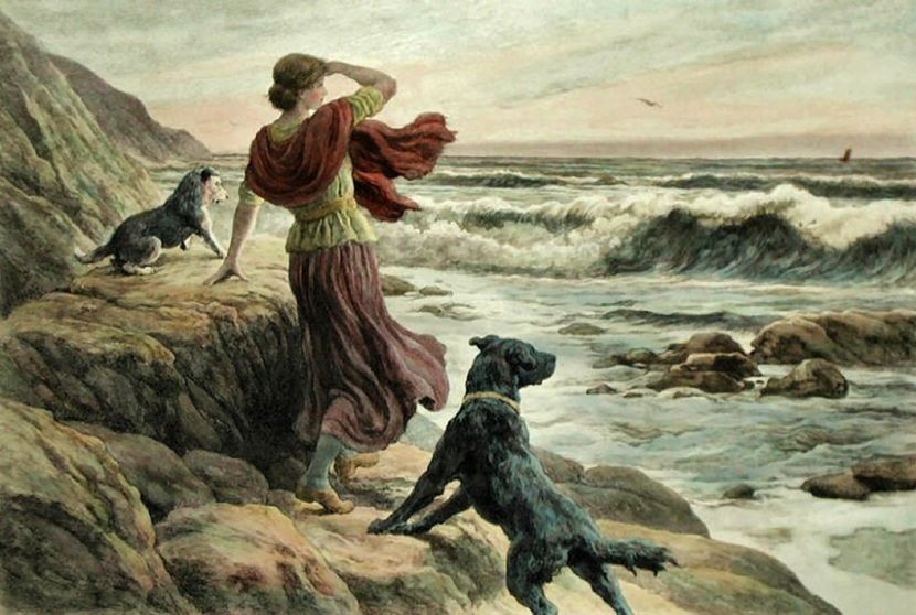 364 - Tablouri diverse