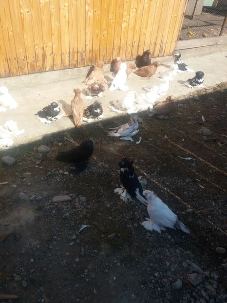  - L-Tobosari de Buhara