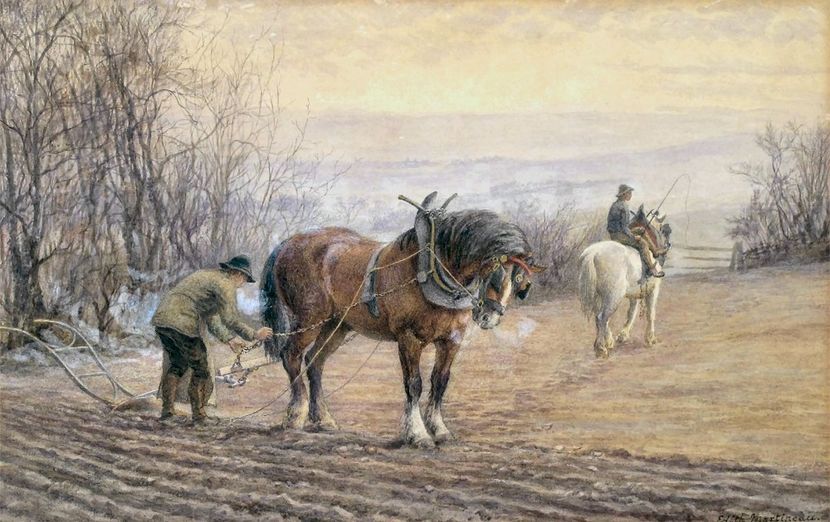 488 - Tablouri-viata la tara 2