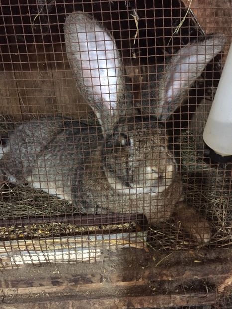 3C2689D4-5668-4445-BBB5-CC3DD9123387 - RO8-48167