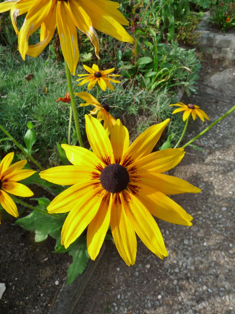  - 2019 - 03 - Toamna