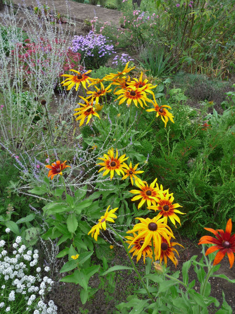  - 2019 - 03 - Toamna