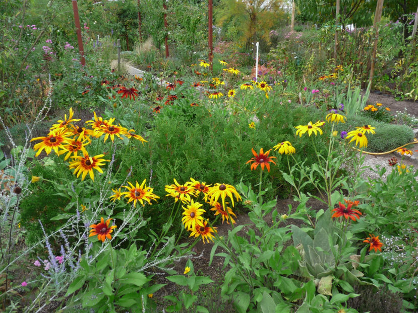  - 2019 - 03 - Toamna