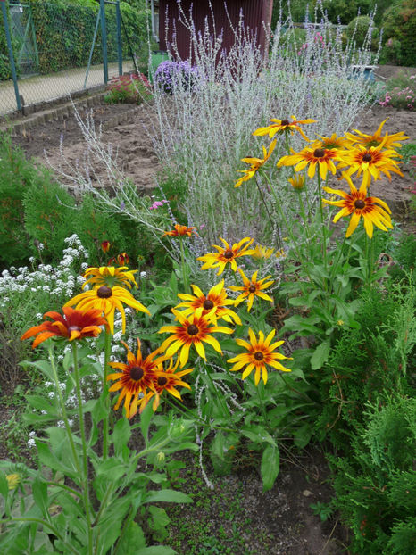  - 2019 - 03 - Toamna