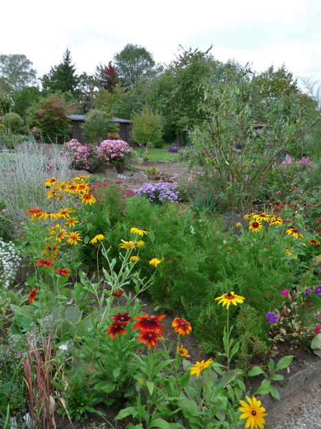  - 2019 - 03 - Toamna