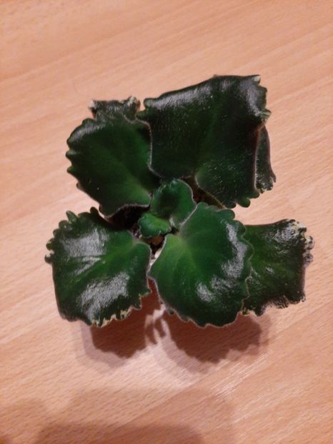  - Le parisiann secrets