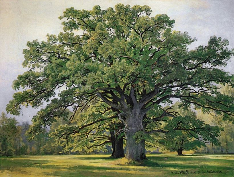 61 - Tablouri peisaje 2