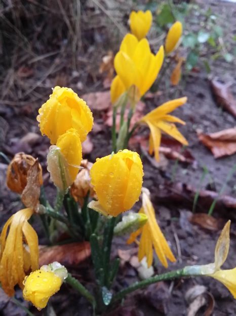  - curtea cu toate cele 2019