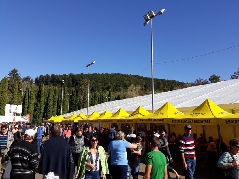  - Gura Humorului 2019