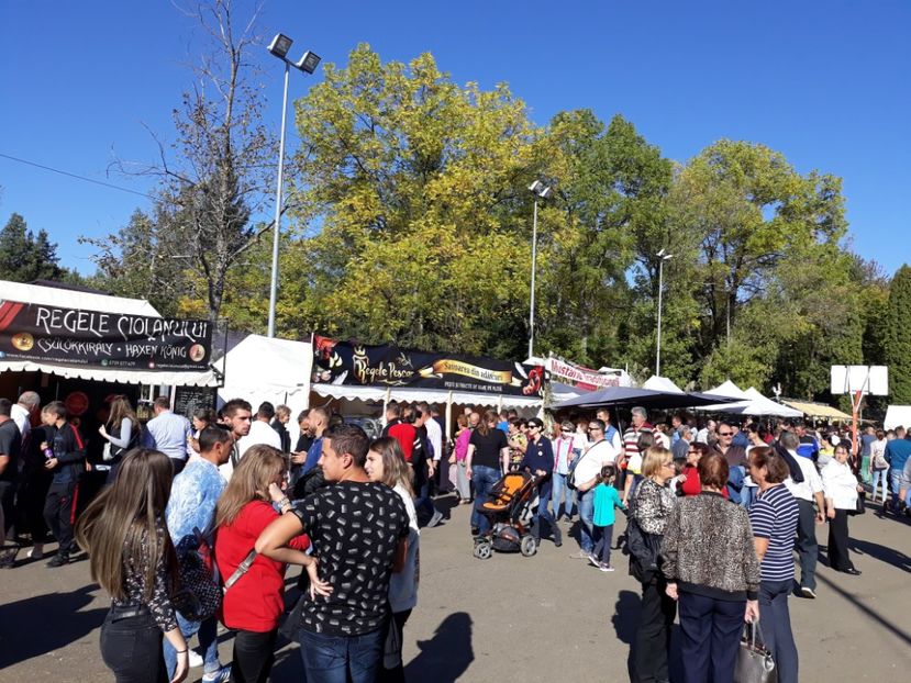  - Gura Humorului 2019