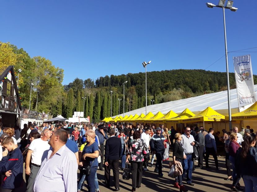  - Gura Humorului 2019