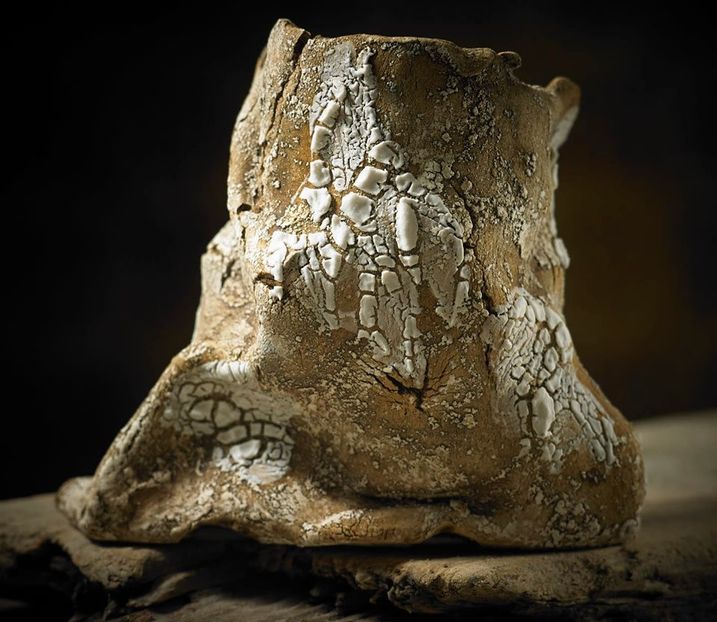 Mark Follon - Vase - aranjamente - accesorii