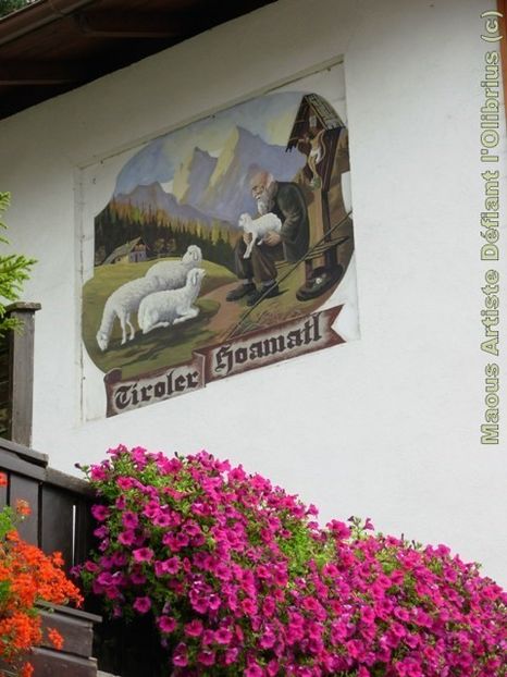 nRUolMfqIXxQG3uUIS3ztDIaLEY - case din Tirol