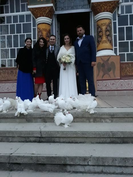  - Sectiunea 1C-Porumbei albi pentru evenimente