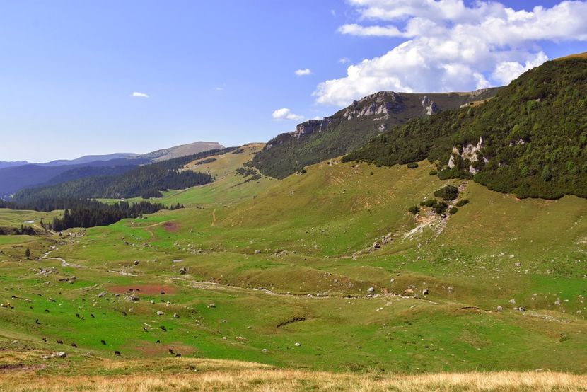  - 13 - Lacul Bolboci - Valea Obârșia Ialomiței - Cascada Obârșia Ialomiței - sept 2019