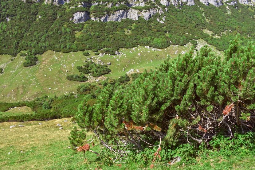  - 13 - Lacul Bolboci - Valea Obârșia Ialomiței - Cascada Obârșia Ialomiței - sept 2019