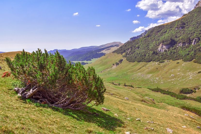  - 13 - Lacul Bolboci - Valea Obârșia Ialomiței - Cascada Obârșia Ialomiței - sept 2019