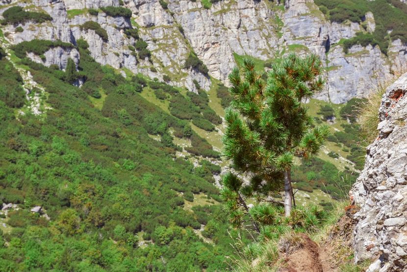  - 13 - Lacul Bolboci - Valea Obârșia Ialomiței - Cascada Obârșia Ialomiței - sept 2019