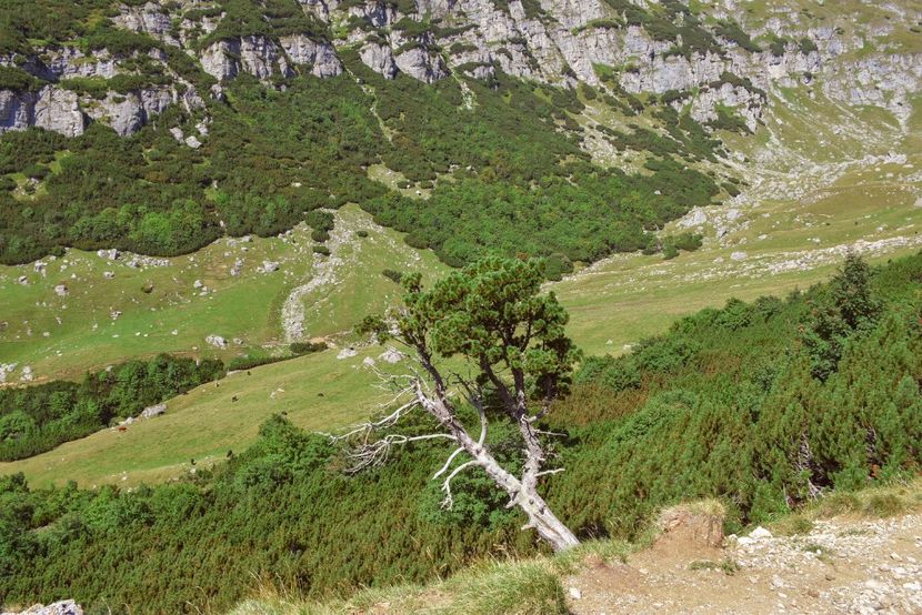  - 13 - Lacul Bolboci - Valea Obârșia Ialomiței - Cascada Obârșia Ialomiței - sept 2019