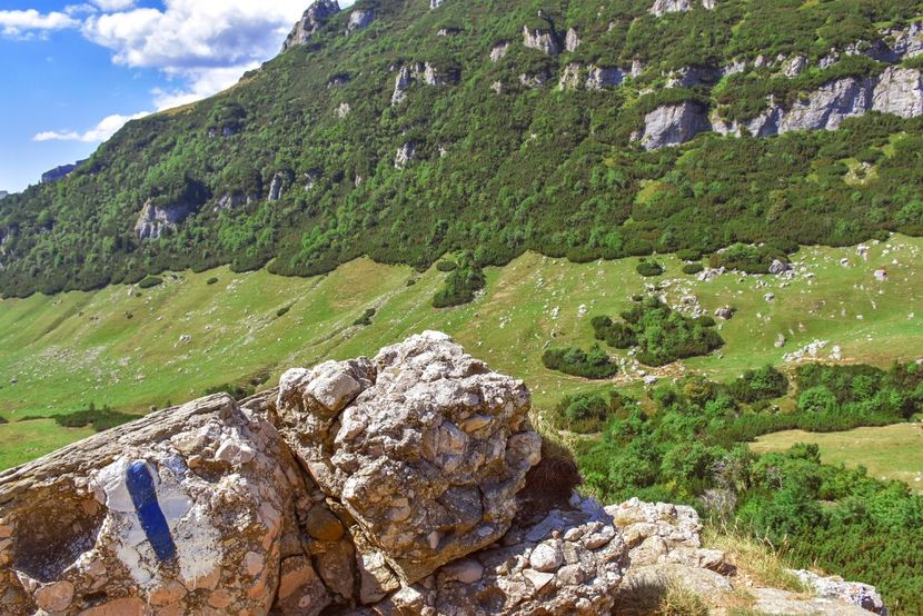 Marcaj traseu spre Vf Omu - 13 - Lacul Bolboci - Valea Obârșia Ialomiței - Cascada Obârșia Ialomiței - sept 2019