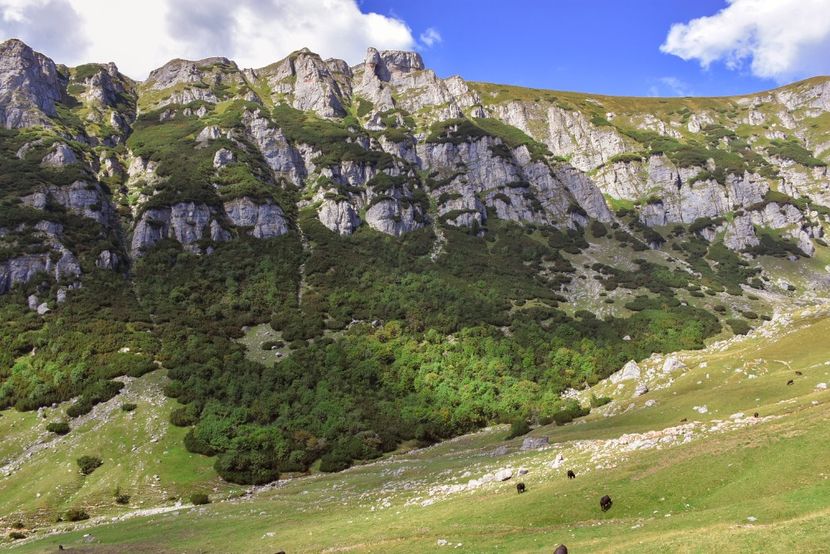  - 13 - Lacul Bolboci - Valea Obârșia Ialomiței - Cascada Obârșia Ialomiței - sept 2019