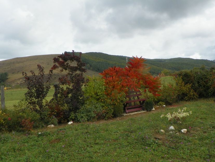 5 oct (36) - Dobarland 2019 4