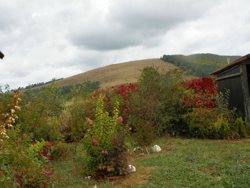 5 oct (47) - Dobarland 2019 4