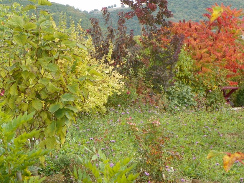 5 oct (56) - Dobarland 2019 4