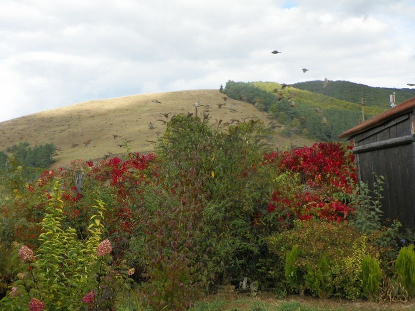 5 oct (94) - Dobarland 2019 4